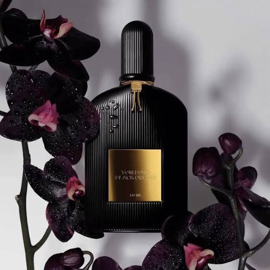 Black Orchid Tom Ford للنساء 100 ml
